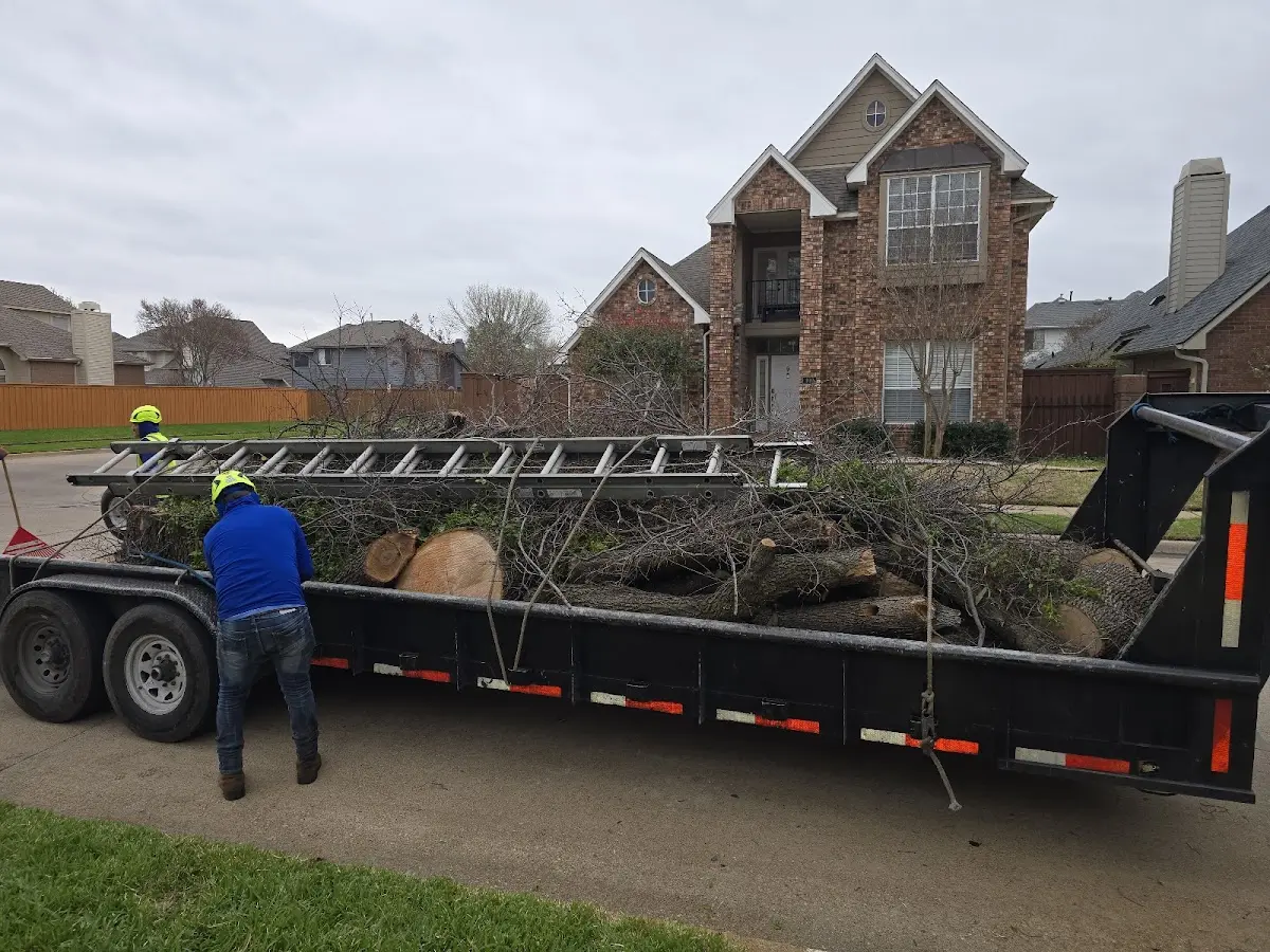 Expert Tree Pest Control with proper safety equipment in Pottersville